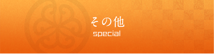 その他